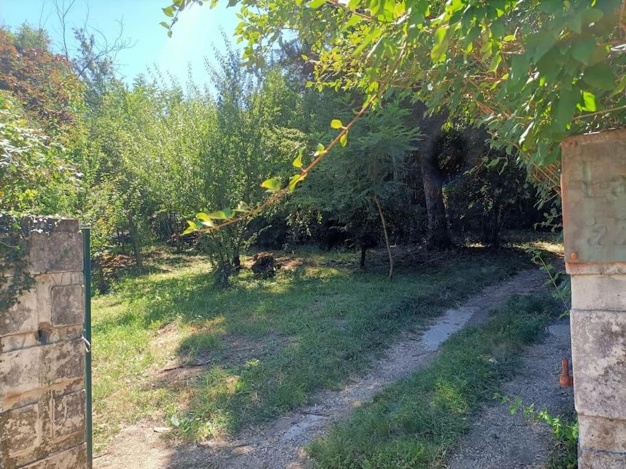 La Colline Aux Oiseaux, La Tranquillite Des Bois * Molieres-sur-Ceze